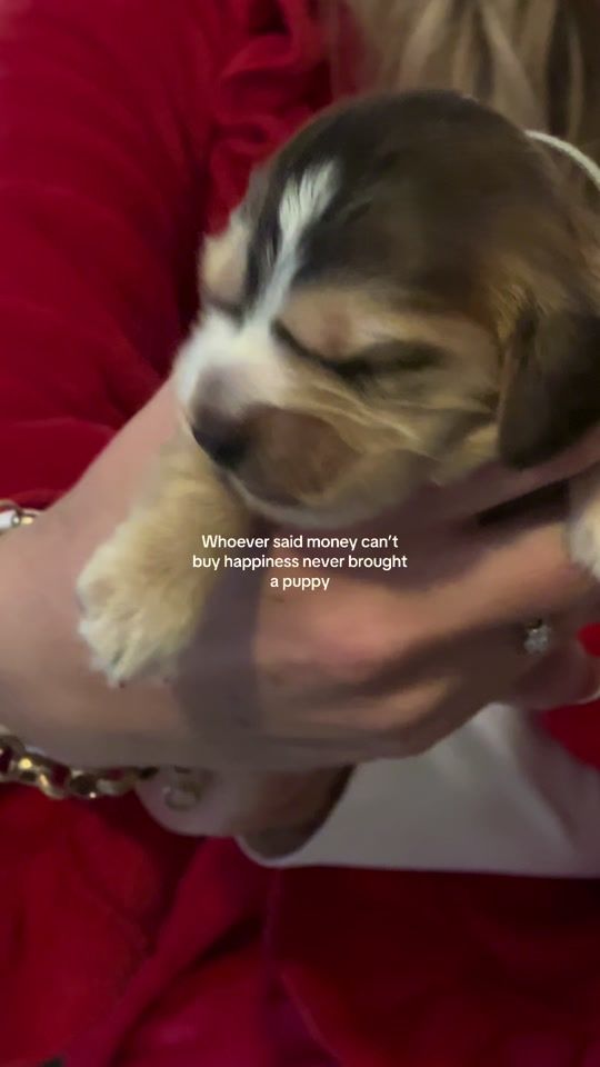 TikTok video thumbnail by loismaehobbs