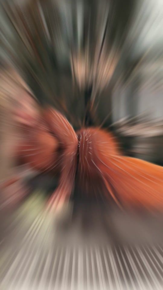 TikTok video thumbnail by eva_sprudza