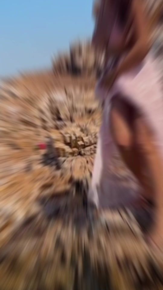 TikTok video thumbnail by mirimirim0