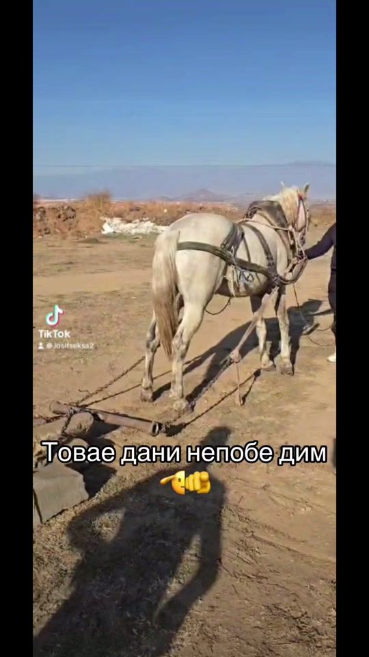 TikTok video thumbnail by iosifvanesa