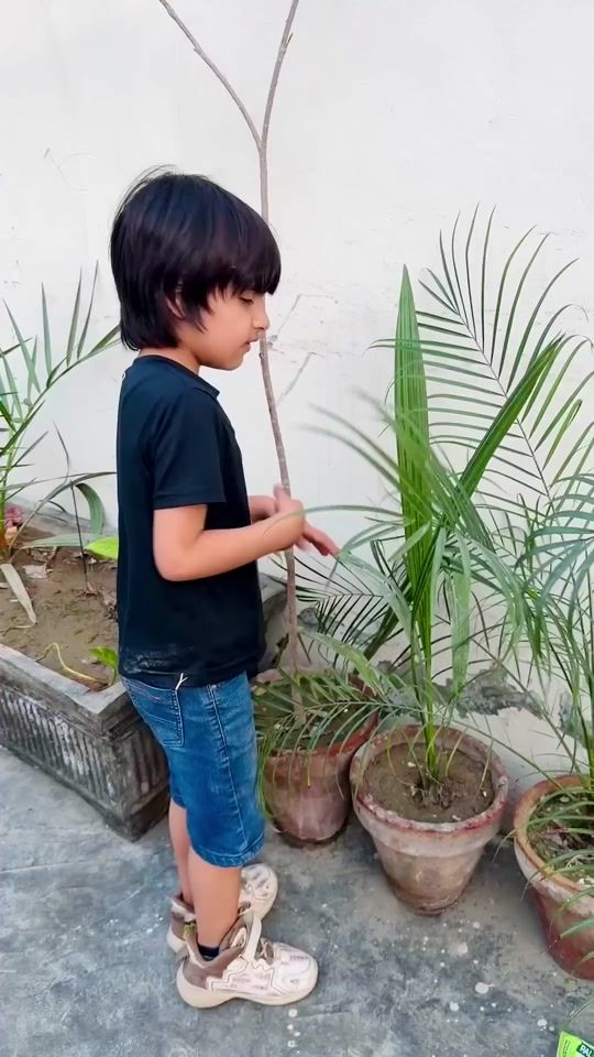 TikTok video thumbnail by minsasaimomer4