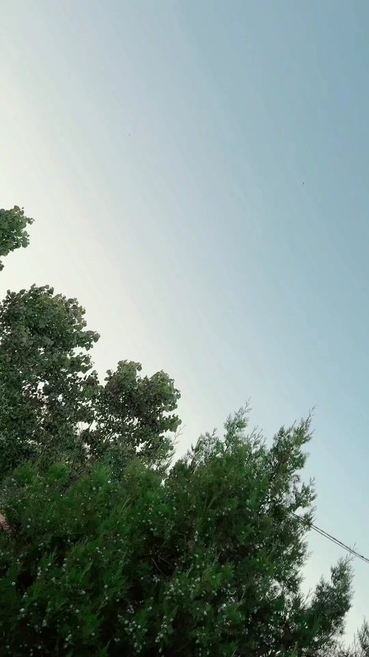 TikTok video thumbnail by ralica_videva