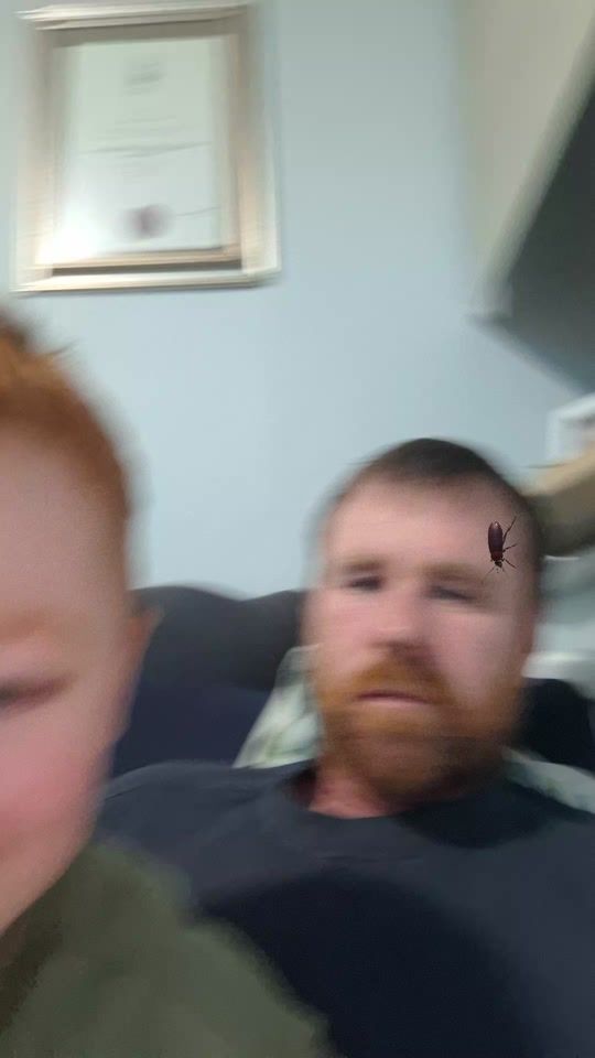 TikTok video thumbnail by barrywildlife