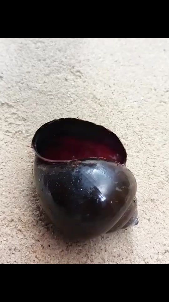 TikTok video thumbnail by hvh_2303