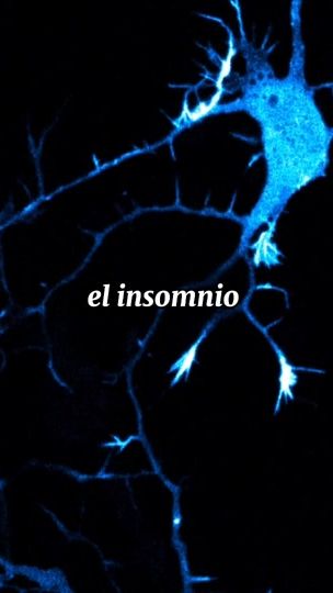 TikTok video thumbnail by mindset1xciento