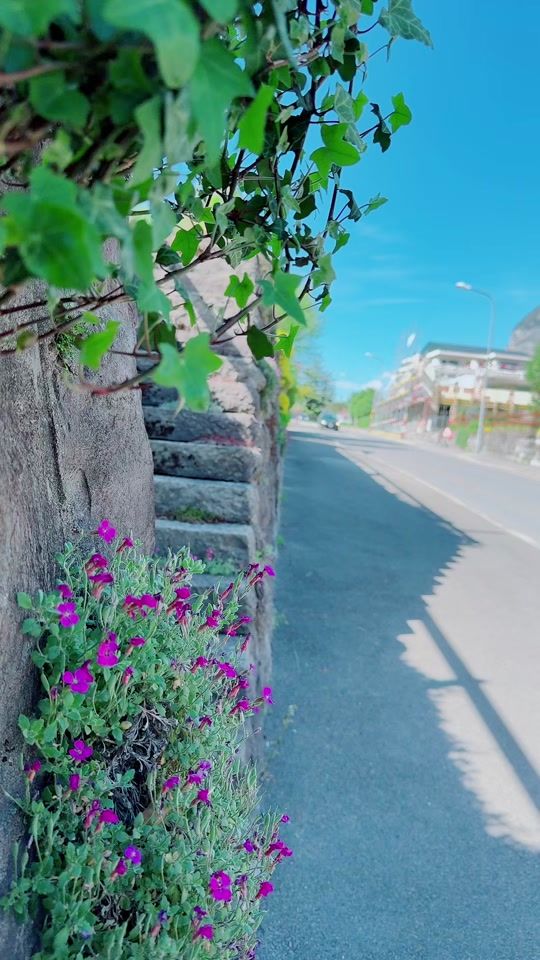 TikTok video thumbnail by sharmilamohan23