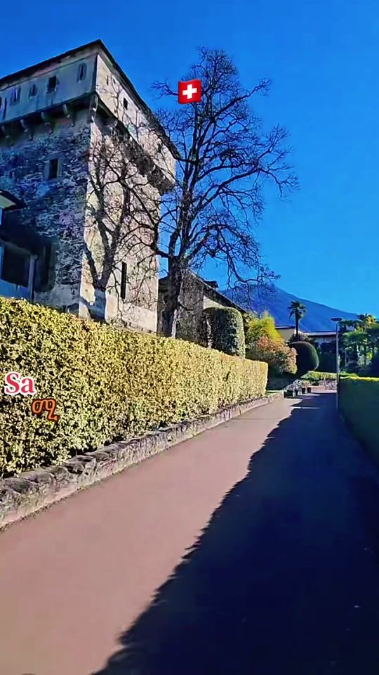 TikTok video thumbnail by sa61033