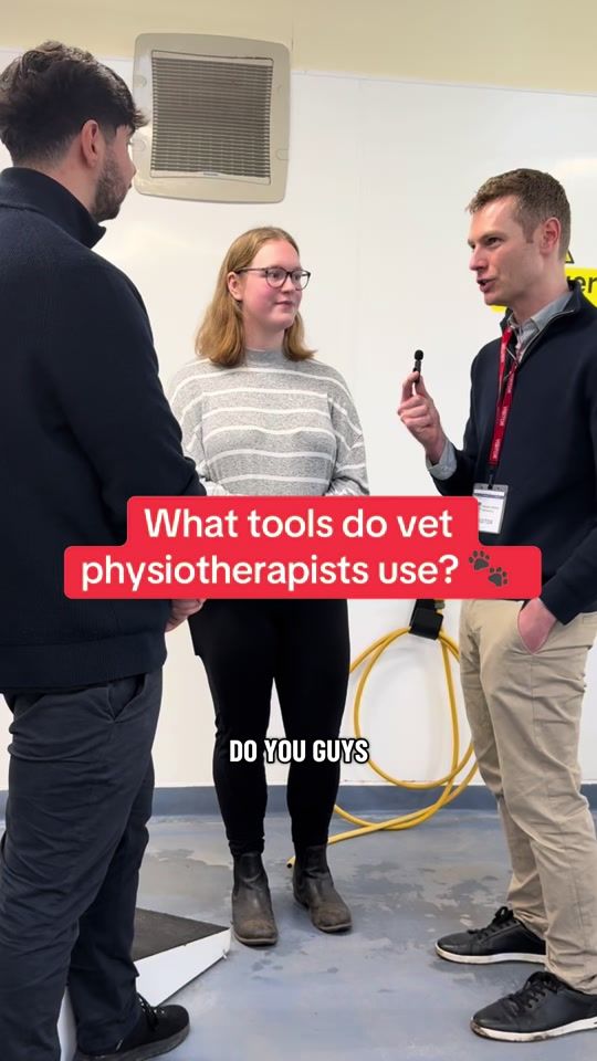 TikTok video thumbnail by ben.the.vet