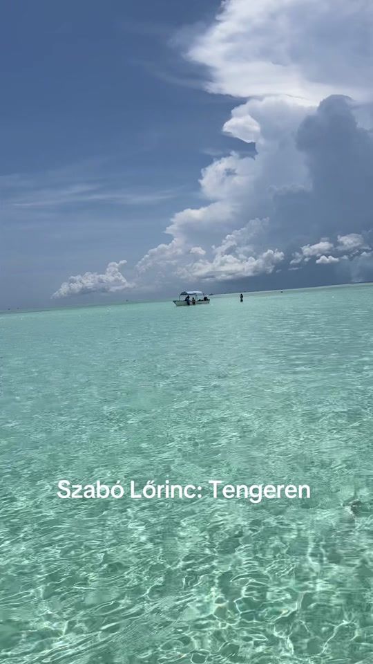 TikTok video thumbnail by beajambor