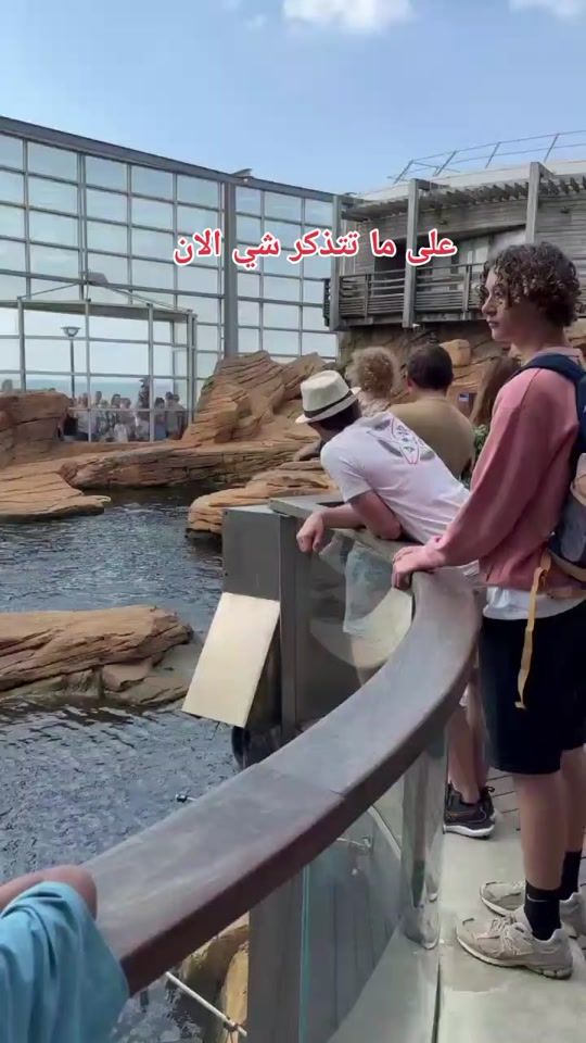 TikTok video thumbnail by dz..n.....r