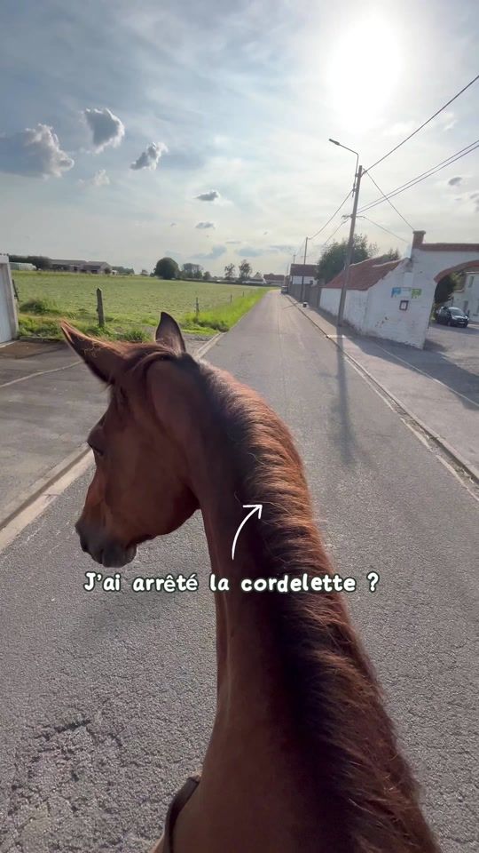 TikTok video thumbnail by v_deole