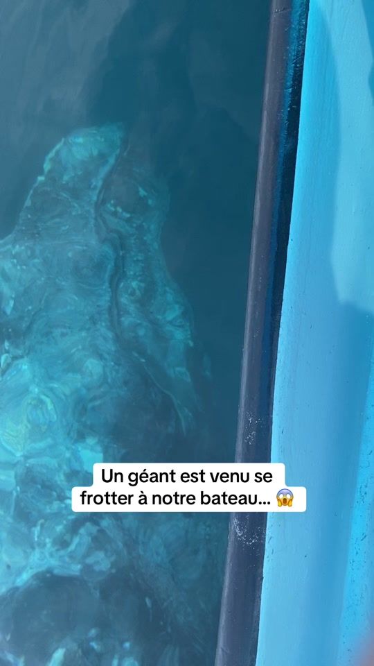 TikTok video thumbnail by hugohebbe