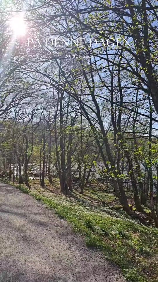 TikTok video thumbnail by snh2524