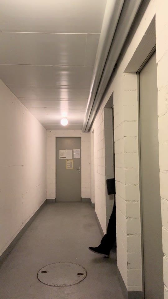 TikTok video thumbnail by wwhos.pm