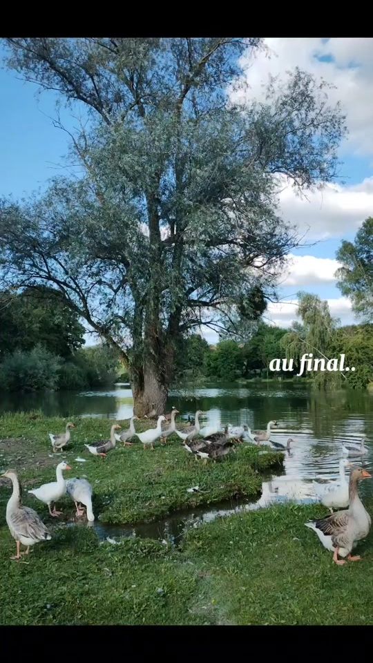 TikTok video thumbnail by morgane8638