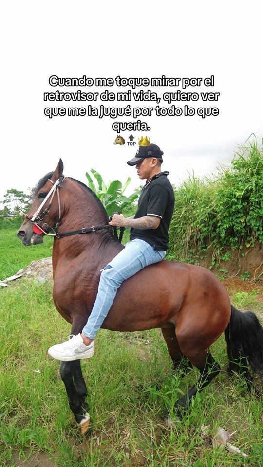 TikTok video thumbnail by reyesdelcaballoparqueado