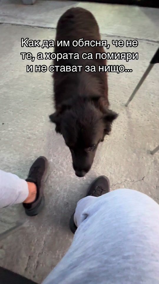 TikTok video thumbnail by pavlinivanovv