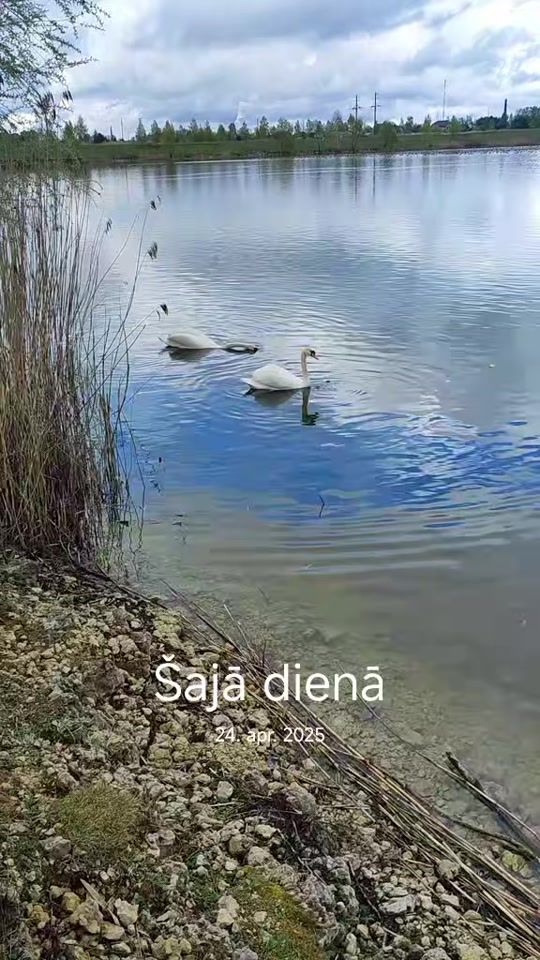 TikTok video thumbnail by sofija2025_
