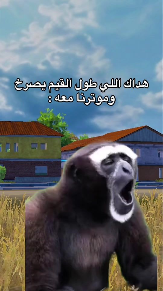 TikTok video thumbnail by wt_rama