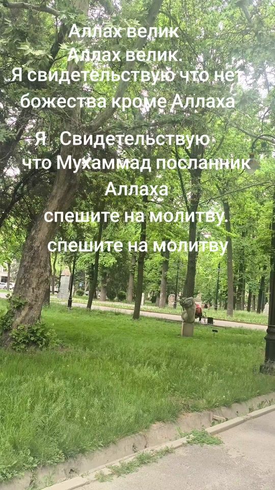 TikTok video thumbnail by guzala76