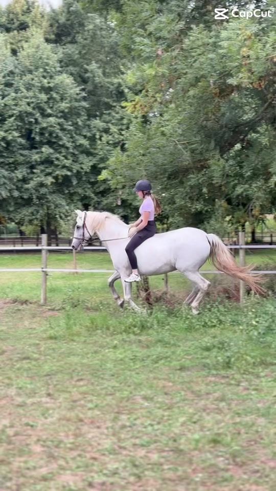 TikTok video thumbnail by equestrian_.jojo