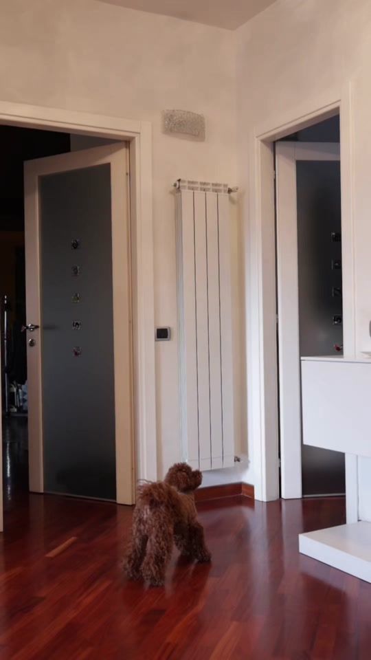 TikTok video thumbnail by barbaragambatesa02