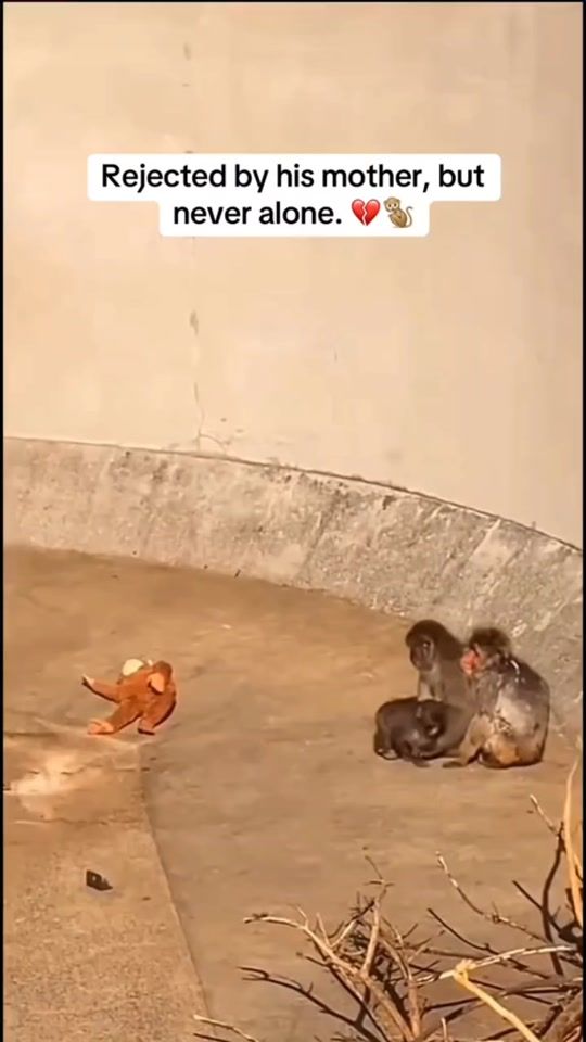 TikTok video thumbnail by iluv.pewpew