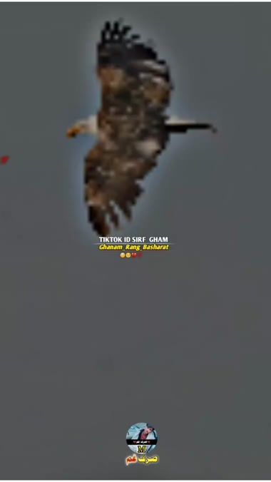 TikTok video thumbnail by sirf_gham_6