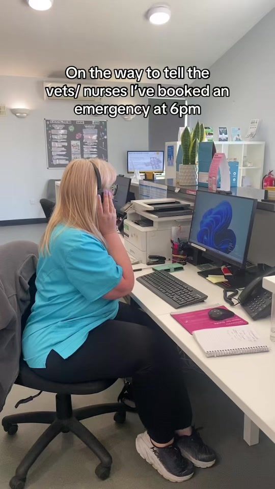 TikTok video thumbnail by framlingham.vets