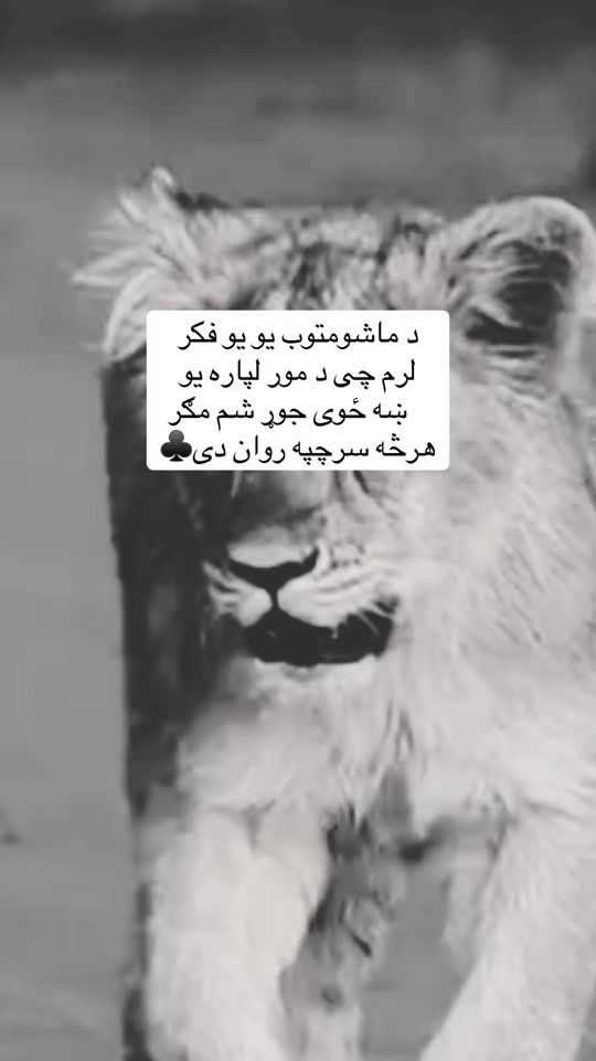 TikTok video thumbnail by a__l__i430