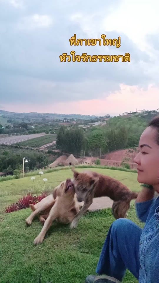 TikTok video thumbnail by hatsadeepa
