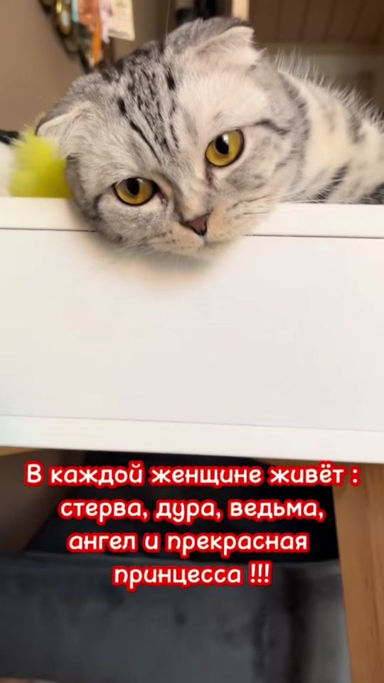 TikTok video thumbnail by masyane4ka_