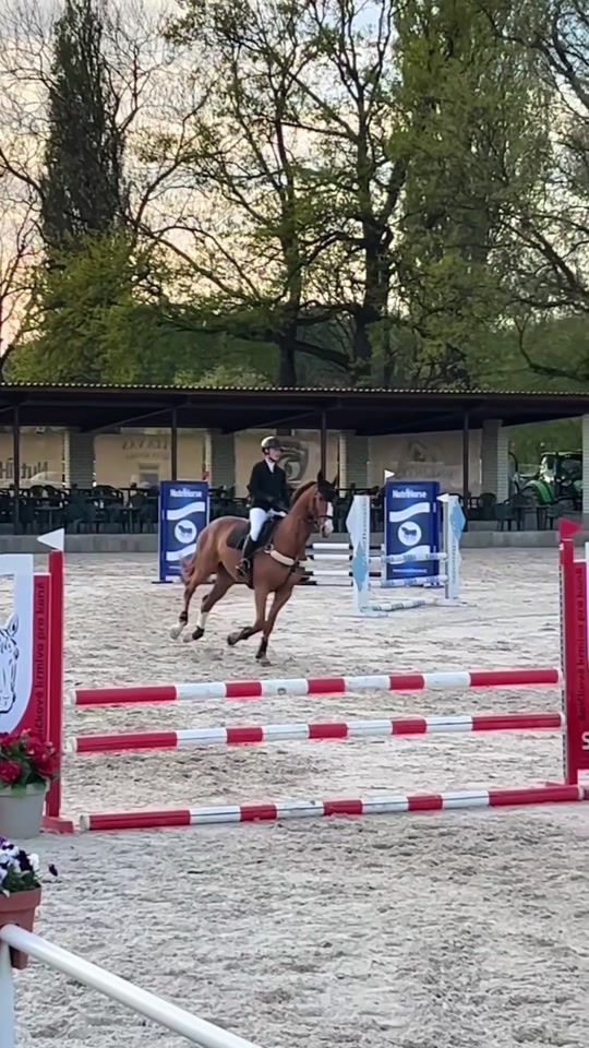 TikTok video thumbnail by nikita.equistrian