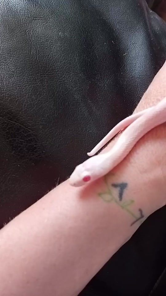 TikTok video thumbnail by samanthajagodic