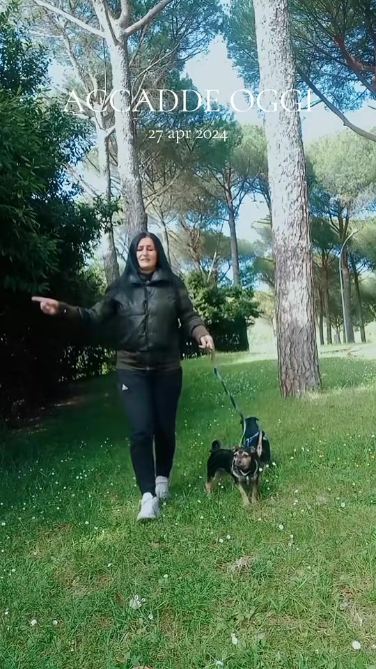 TikTok video thumbnail by camelia_547