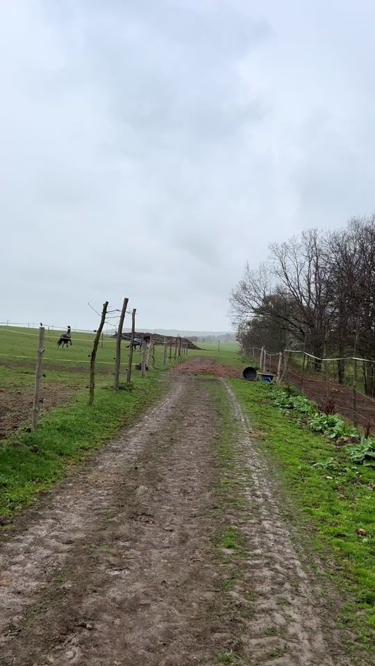 TikTok video thumbnail by ann.a.absolutic