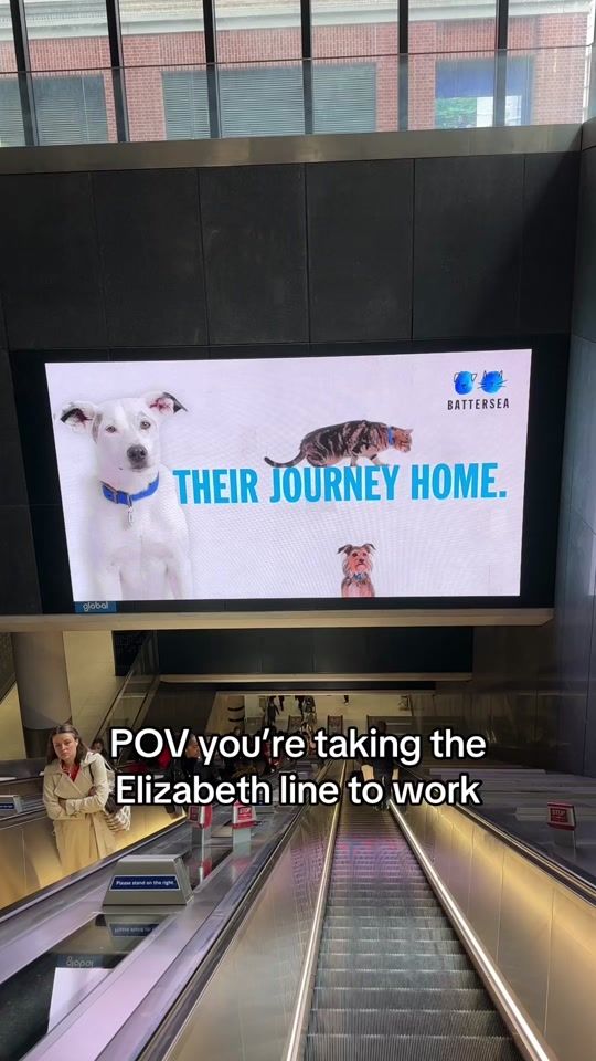 TikTok video thumbnail by battersea