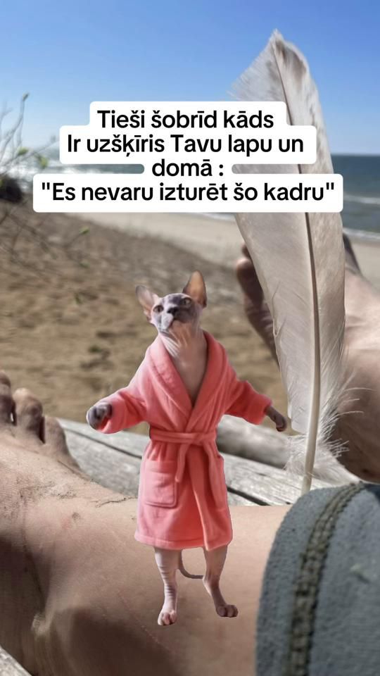 TikTok video thumbnail by zanesdzve