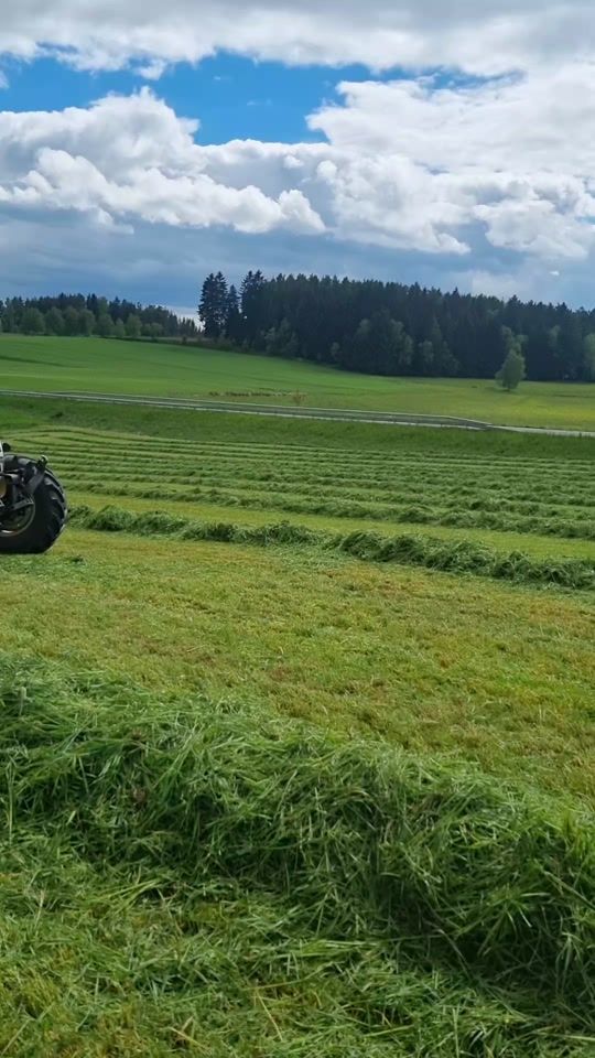 TikTok video thumbnail by agrar.luca