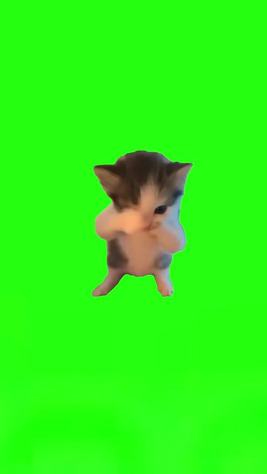 TikTok video thumbnail by gustyteee0
