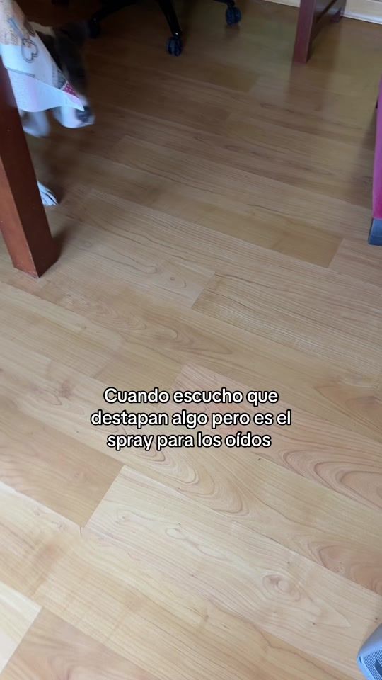 TikTok video thumbnail by duqueelamerican