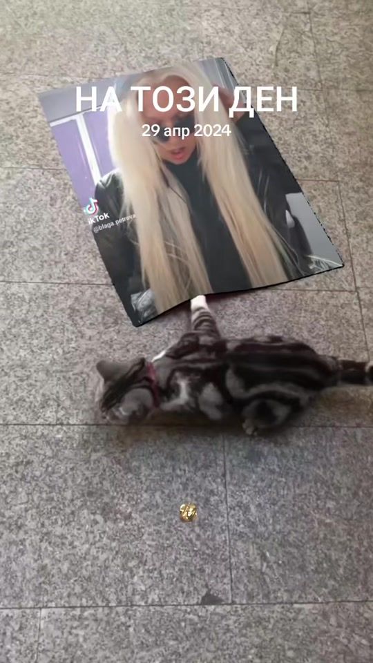 TikTok video thumbnail by blaga.petrova