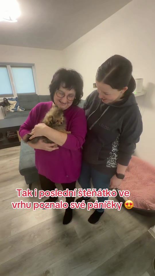 TikTok video thumbnail by doggylandcz