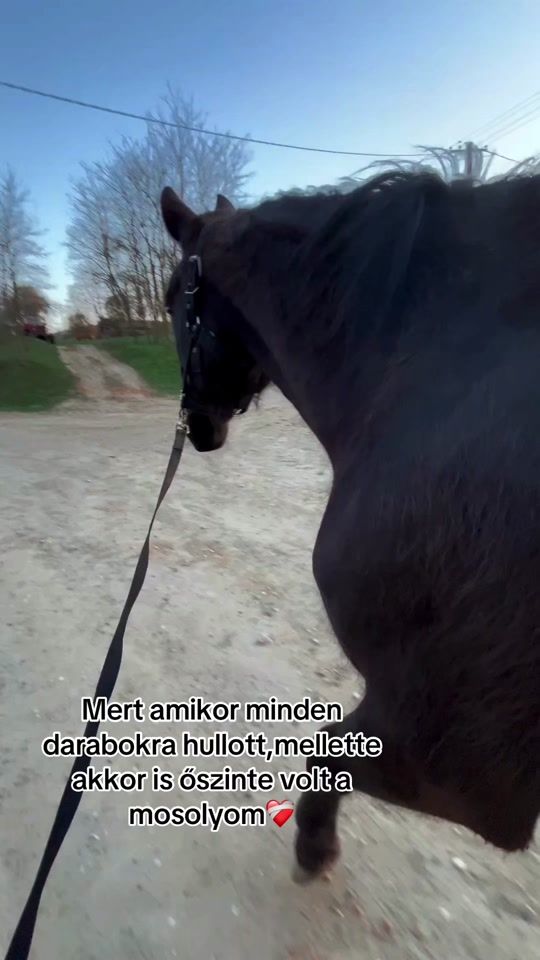 TikTok video thumbnail by vani_molnar