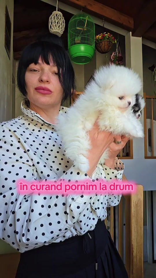 TikTok video thumbnail by iuga.olesea