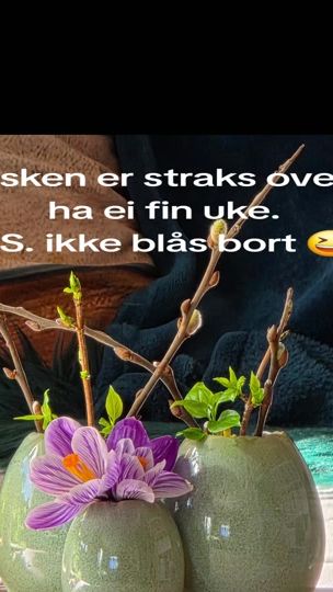 TikTok video thumbnail by eloin73
