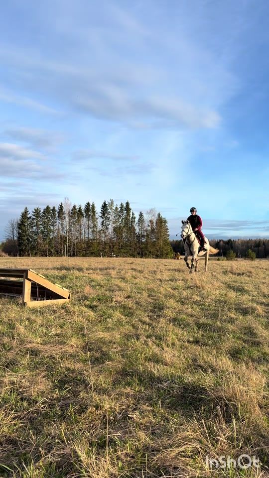 TikTok video thumbnail by mv.sshowjumping