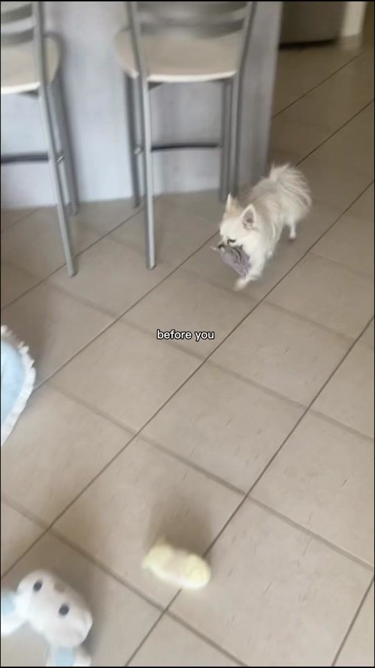 TikTok video thumbnail by reneekiky87