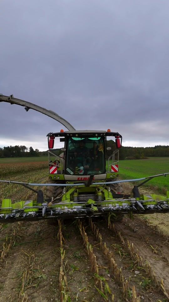 TikTok video thumbnail by stanley_dron