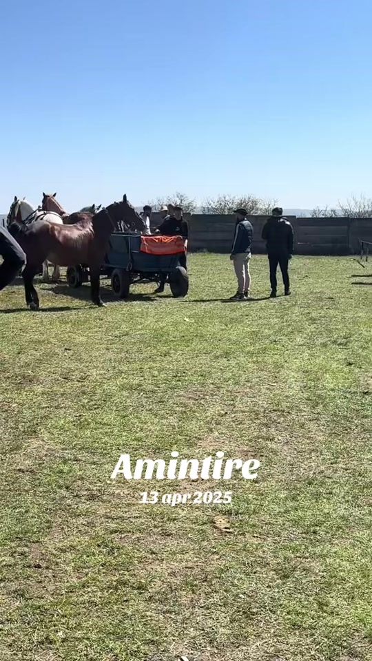 TikTok video thumbnail by darius.caii